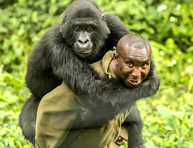 Experience The Great Holiday On Beach